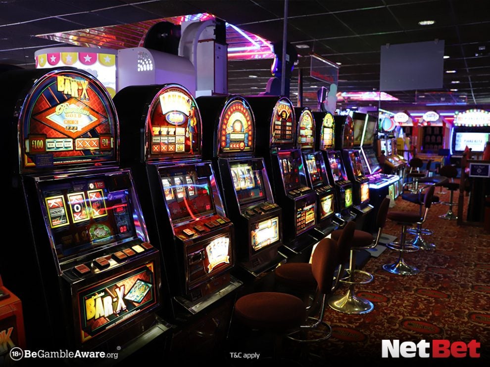 ddddgame - Registro Bet Oficial